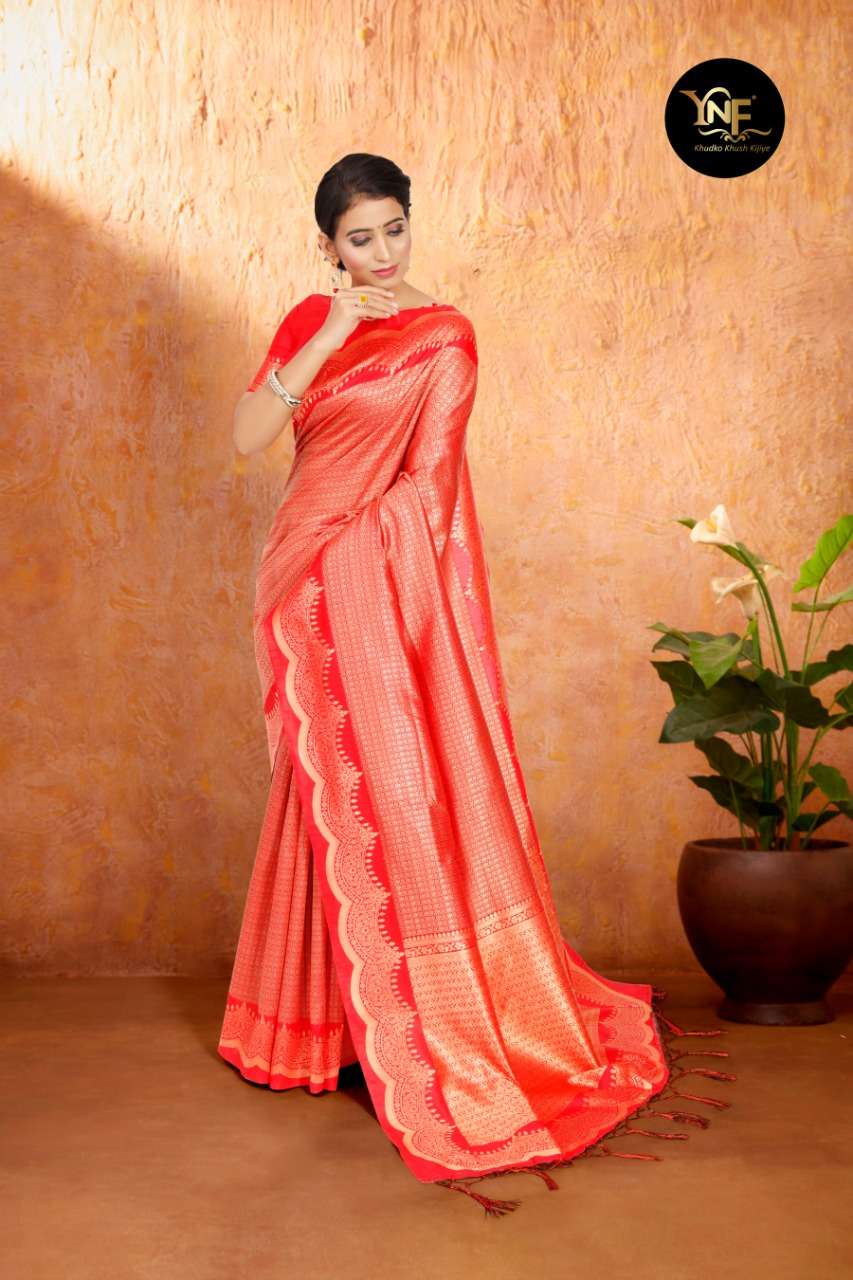 Buy Off - White Patola Silk Saree T489732