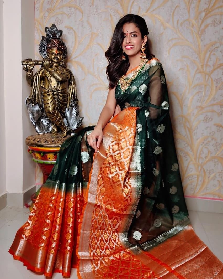 Pure Organza Silk Saree With All Over Thread Embroidery Work - SaadgeeNilay